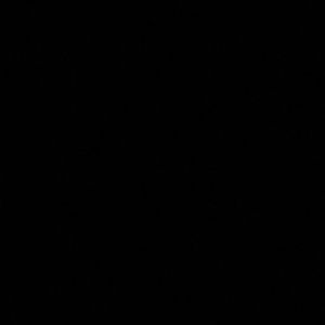 Meet your Posher, Payton